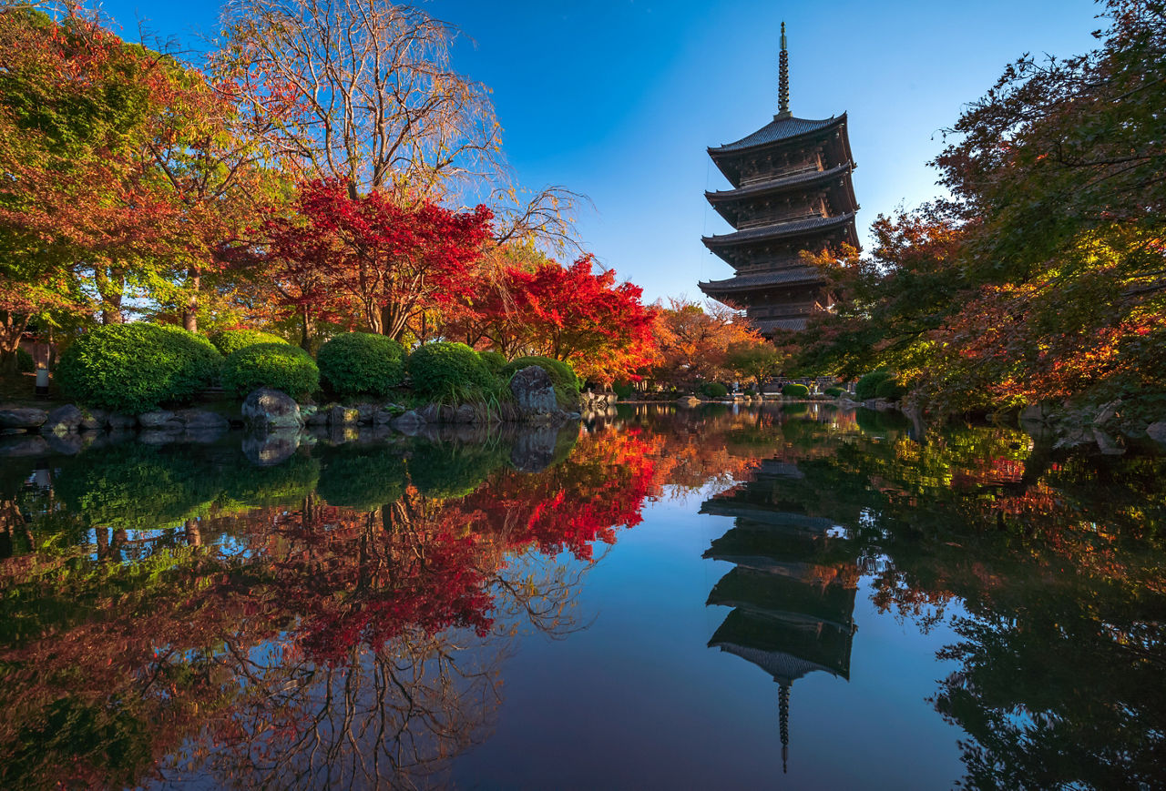 Japan & Korea: Tokyo, Kyoto, Hiroshima