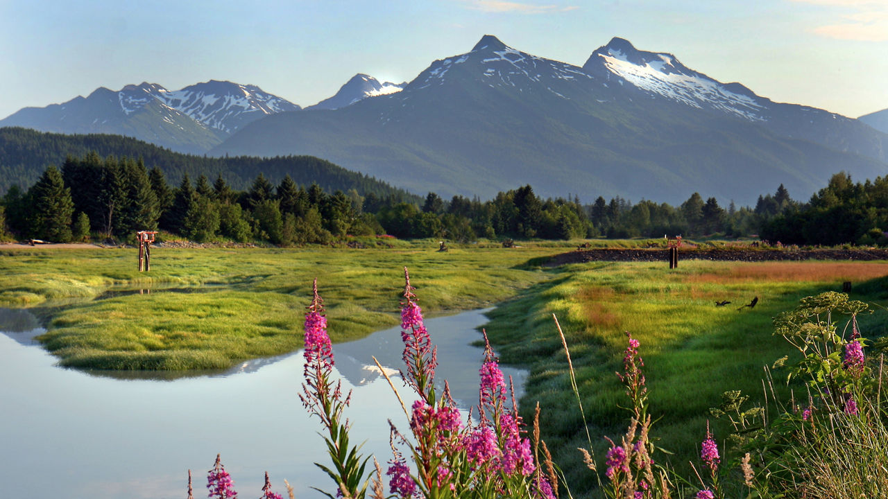 Tastes of Alaska Cruisetour (Post Tour)