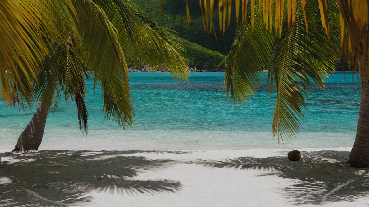 Aruba, Bonaire & Curacao