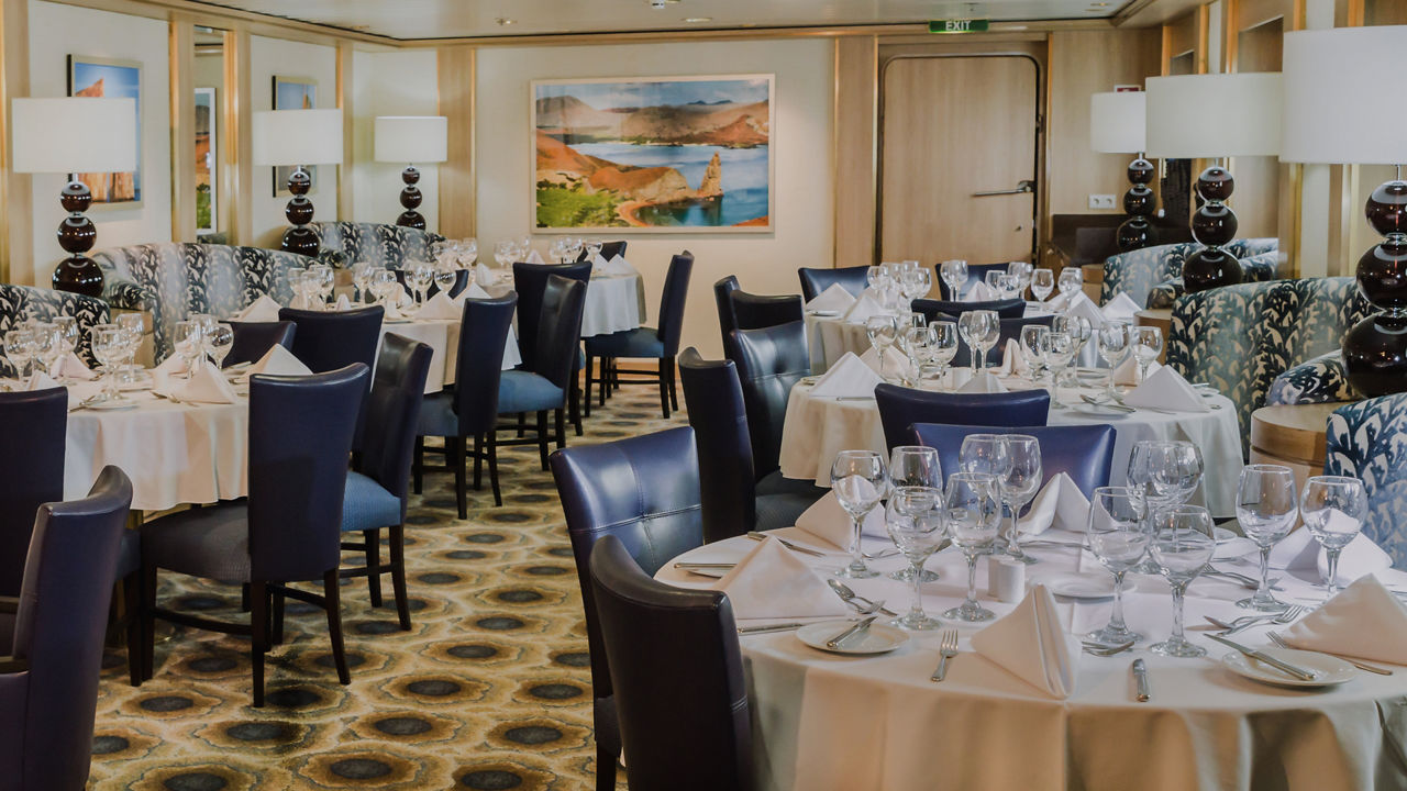 Overhead view of a tenderloin steak cooked rare and garnished with rosemary.