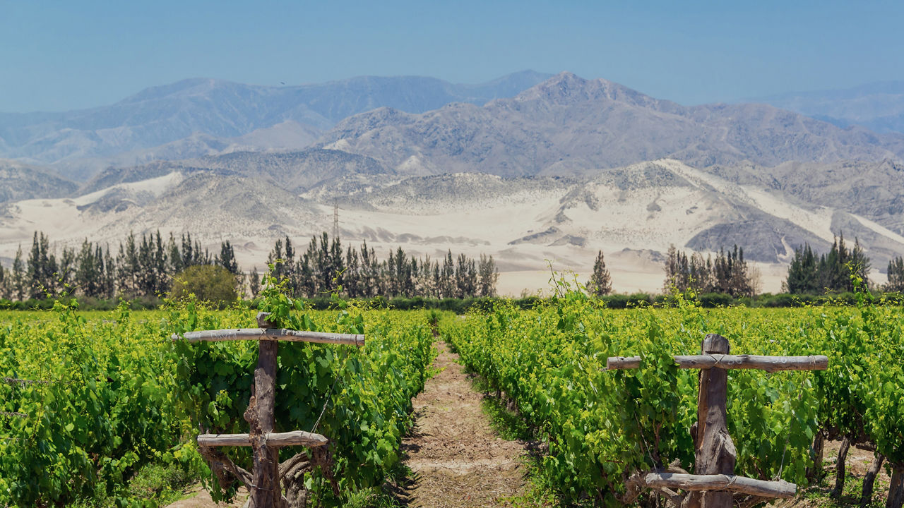 Pisco San Martin 3840x2160