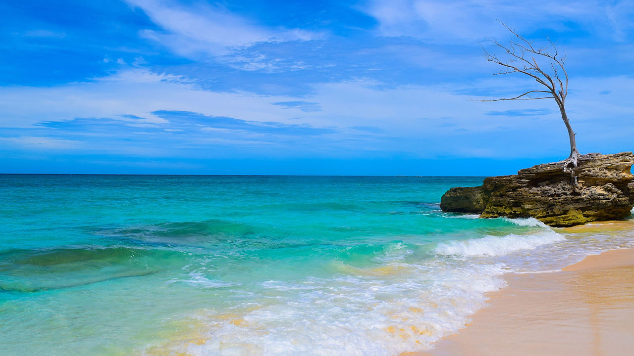 scenic beach in bimini 2560x1440