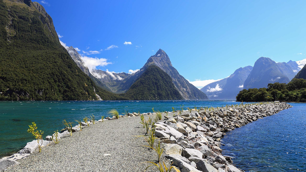 road in milford sound 2560x1440