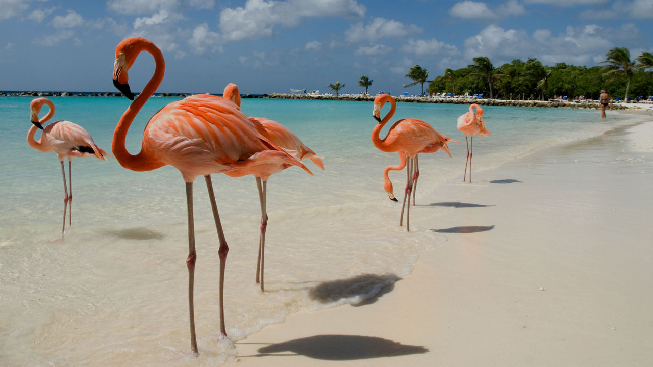 CELEBRITY REFLECTION - Aruba, Bonaire & Curacao
