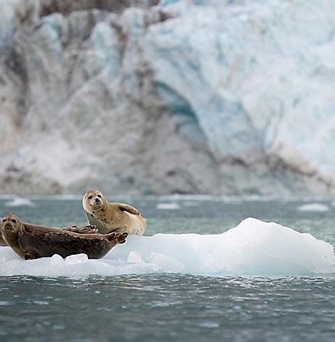 seward alaska 1 port images