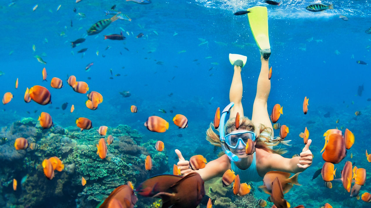 CELEBRITY SUMMIT - Western Caribbean