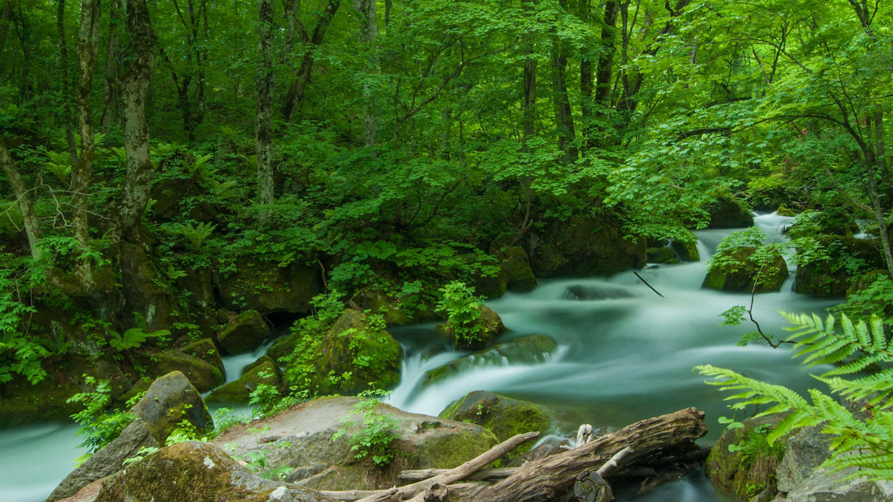 Oirase stream 3840x2160