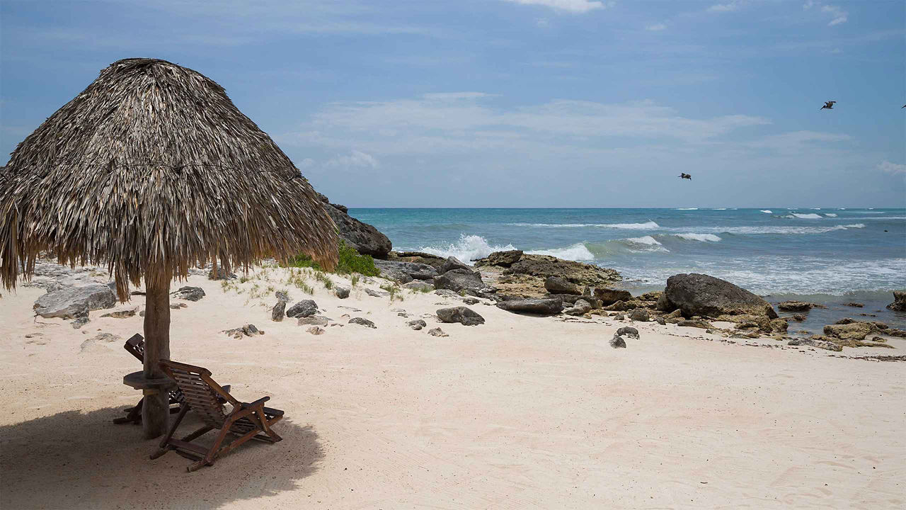 costa maya beach mexico 2560x1440