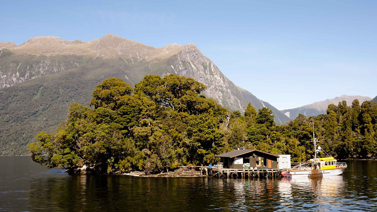 doubtful sound lake view 2560x1440