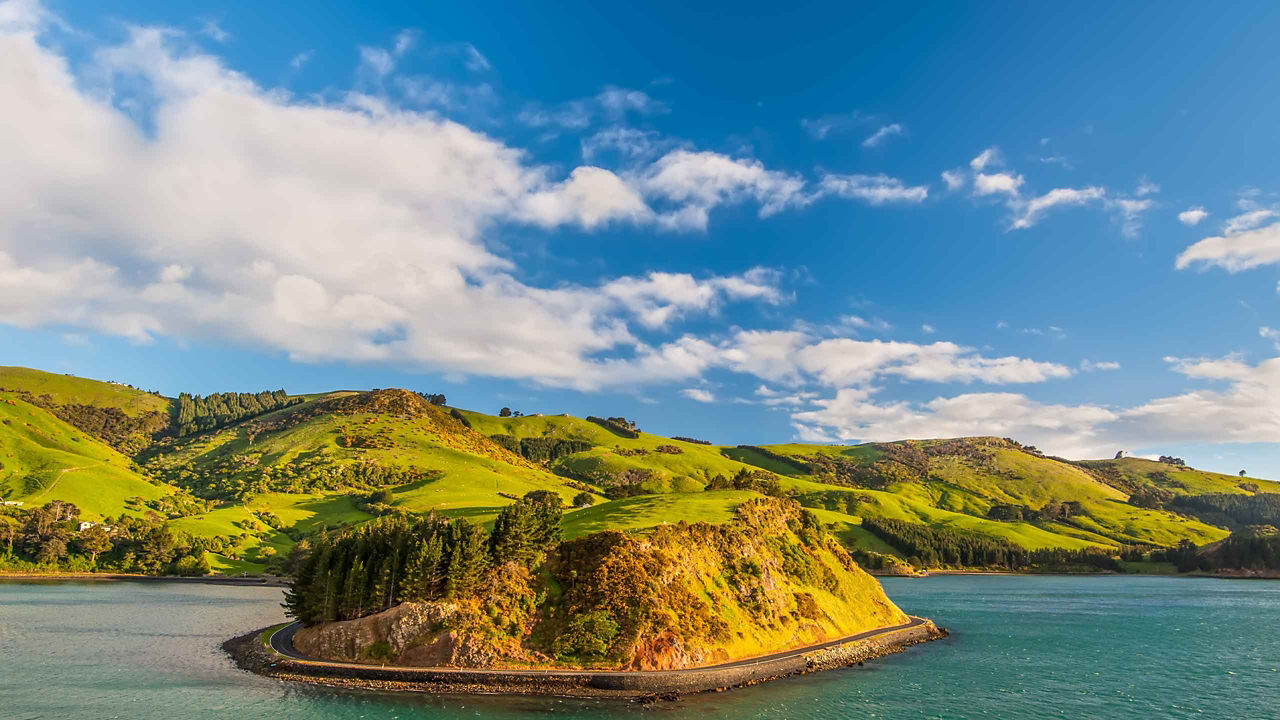 dunedin new zealand landscape 2560x1440