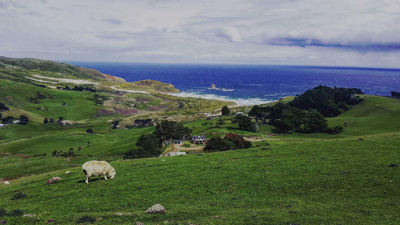 dunedin nz 3840x2160