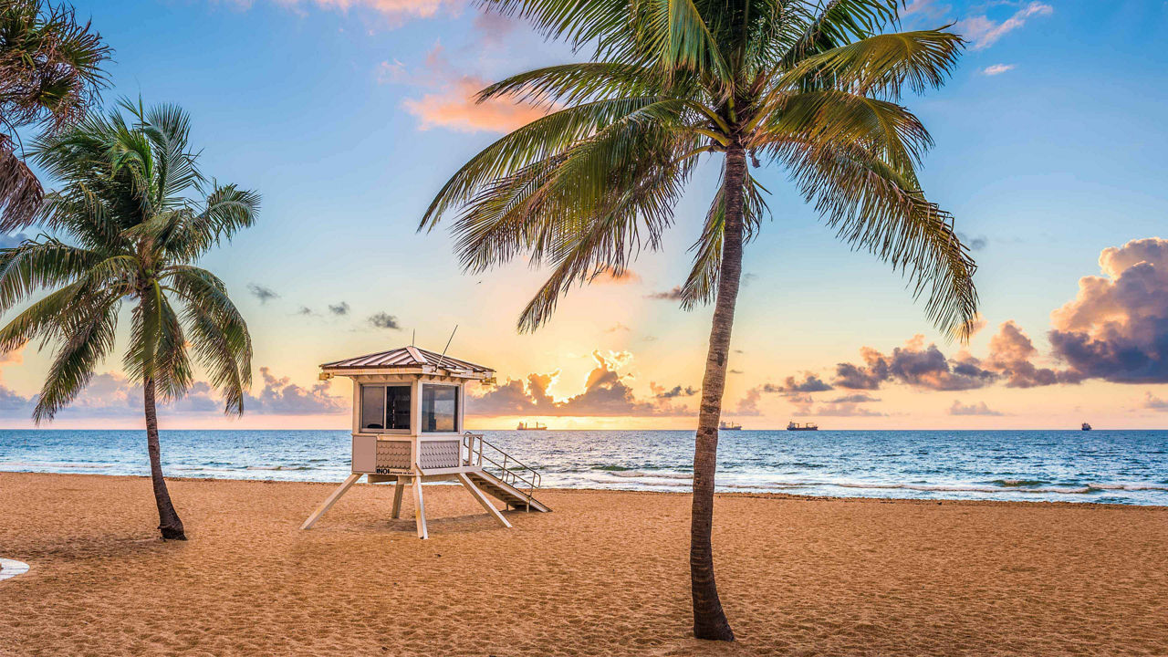 Swaying palm trees line a white sandy beach under a pink sunset in Fort Lauderdale.