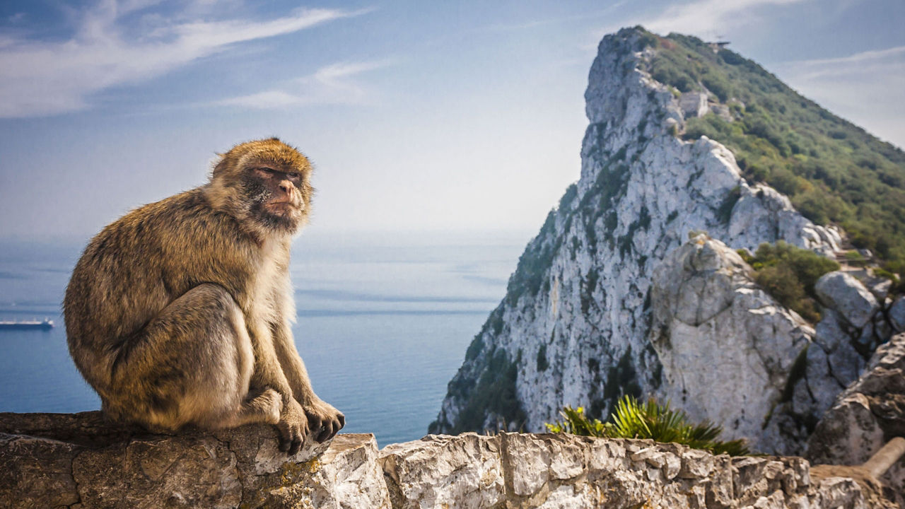 gibraltar united kingdom 5 2560x1440