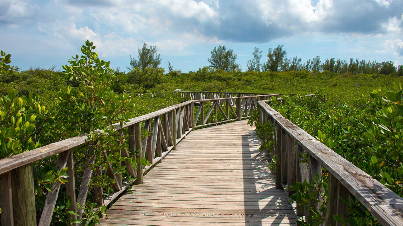 lucayan national park grand bahama 2560x1440