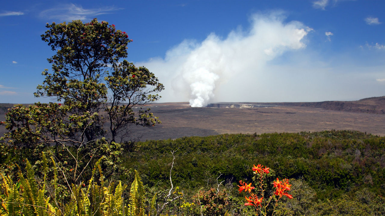 volcanoes national park hilo hawaii