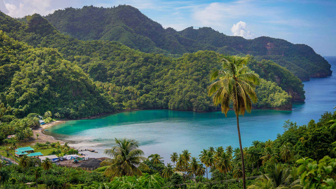 sea palm trees and mountains in st vincent 1 3840x2160