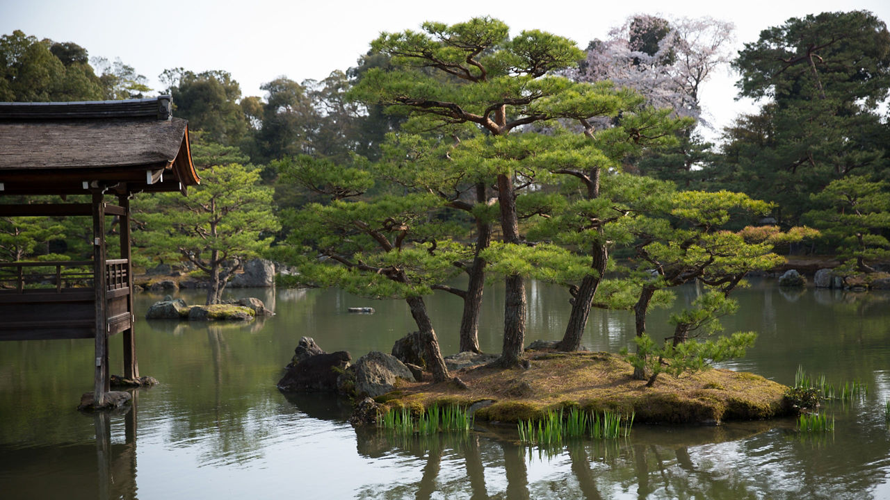 kinkaku ji temple kyoto japan 2560x1440
