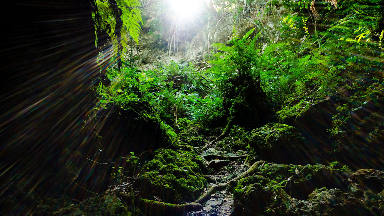 hidden grotto lifou