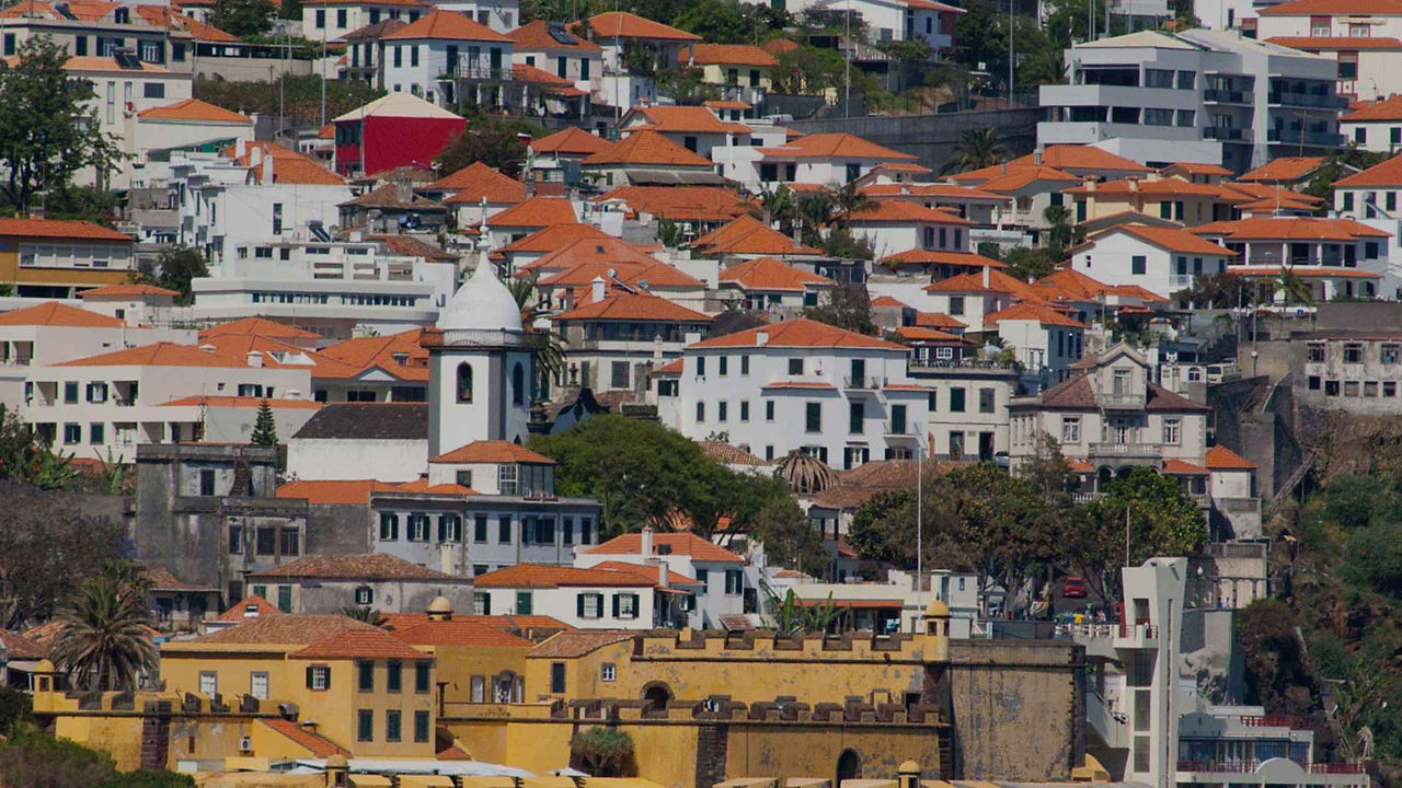 madeira neighborhood 2560x1440
