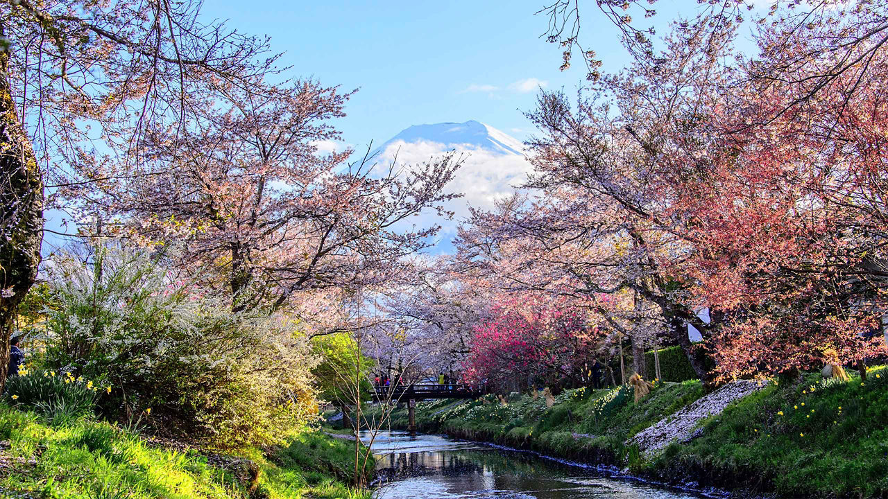 oshino hakkai mt fuji japan 2560x1440