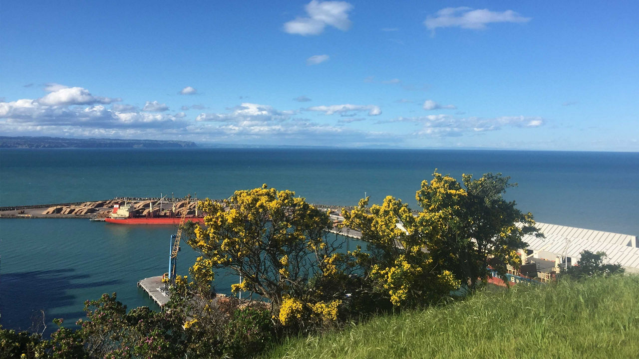 bluff hill napier nz CTA 3840x2160