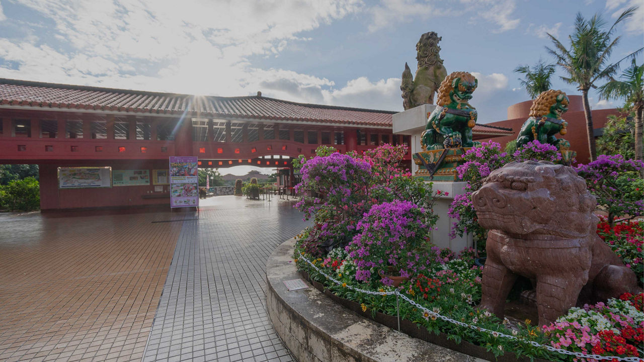 okinawa japan 80 opacity 3840x2160