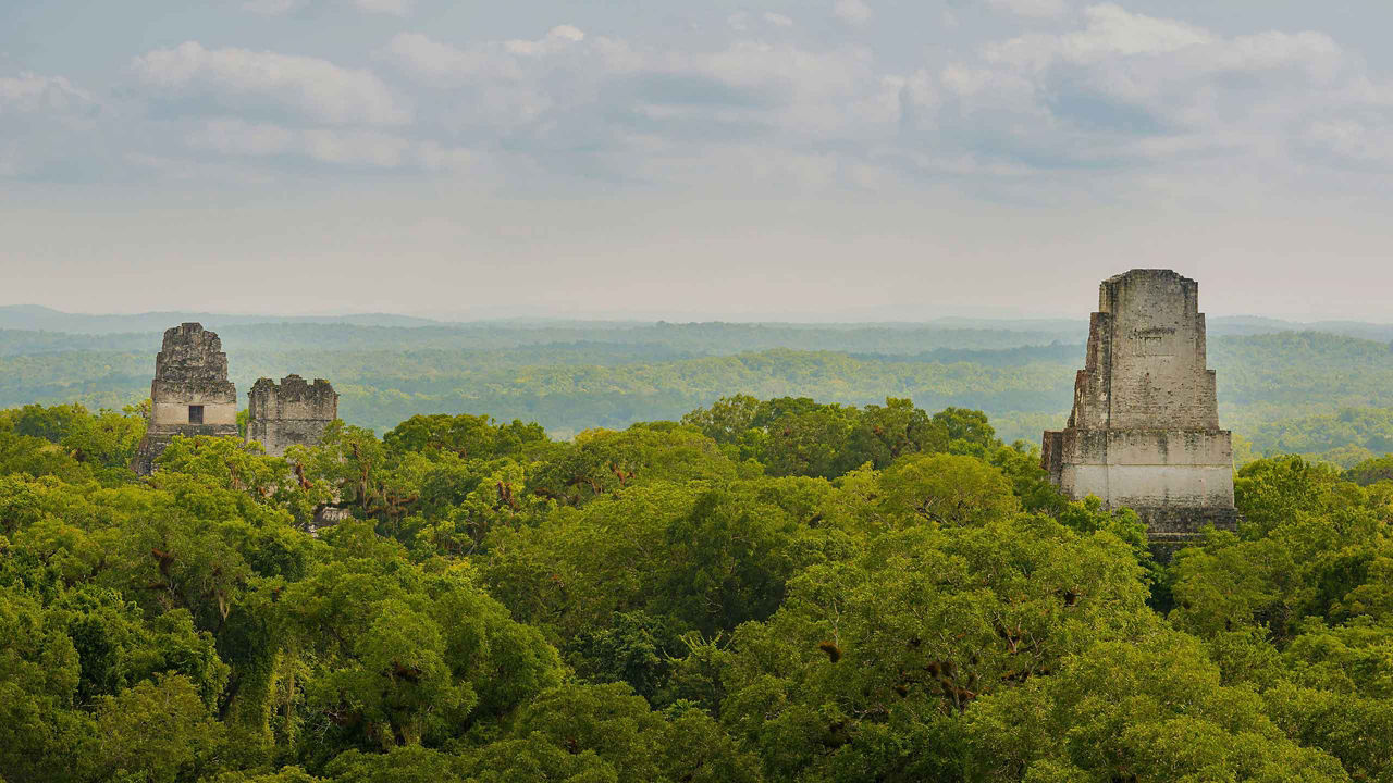 tikal national park guatemala 2560x1440