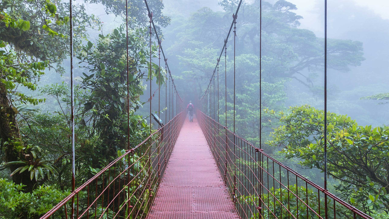 monteverde hanging bridge puntarenas costa rica 2560x1440