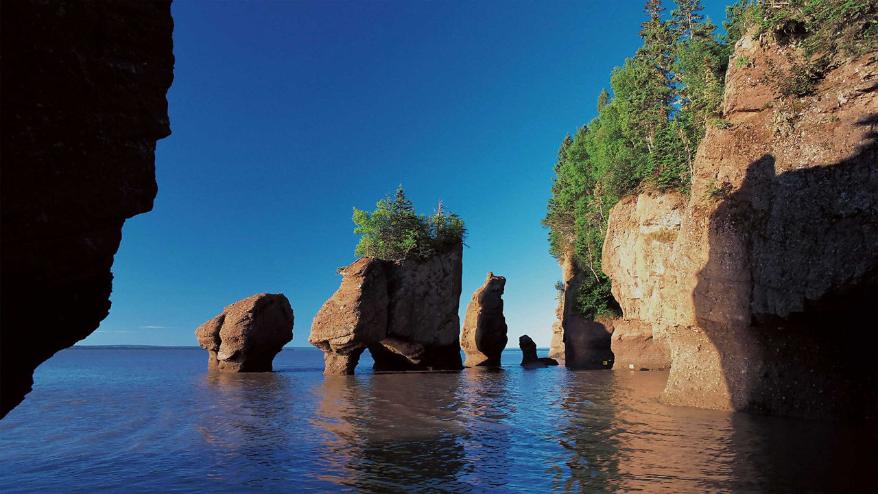 bay of fundy new brunswick canada 70 opacity 2560x1440