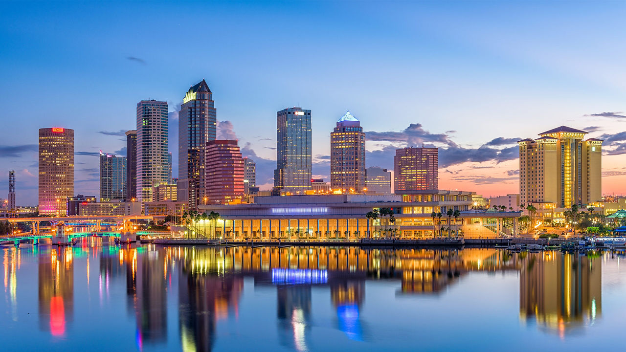 tampa skyline night 2560x1440