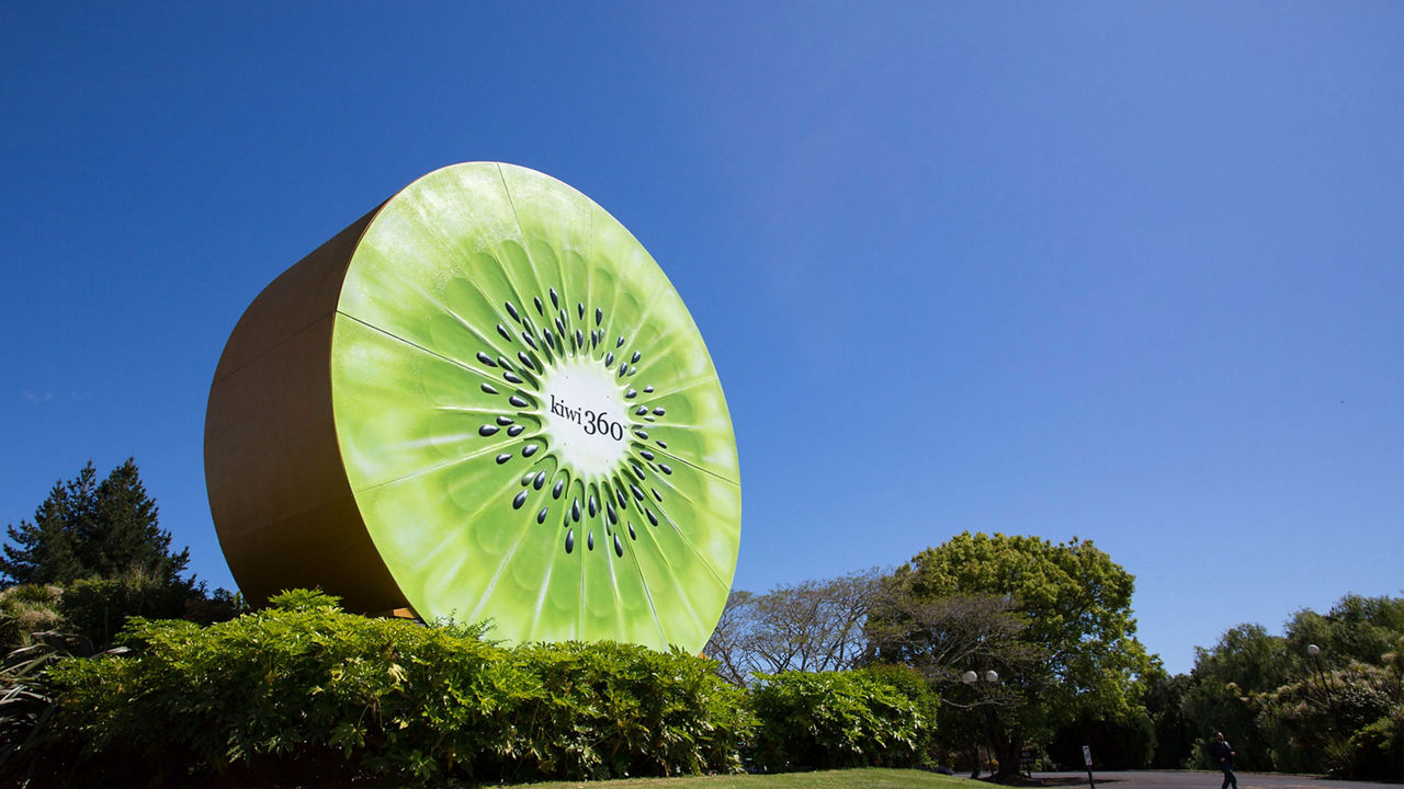 kiwi fruit tauranga new zealand 1 3840x2160