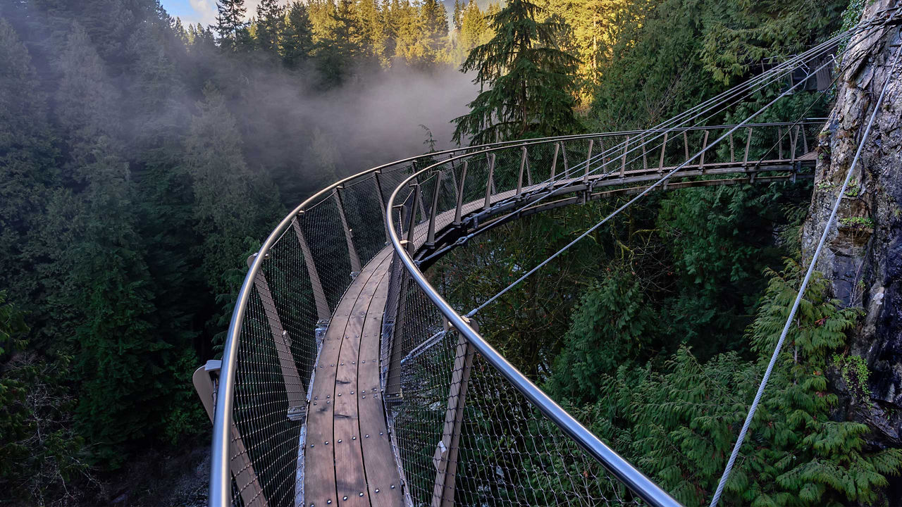 capilano suspension bridge 2560x1440