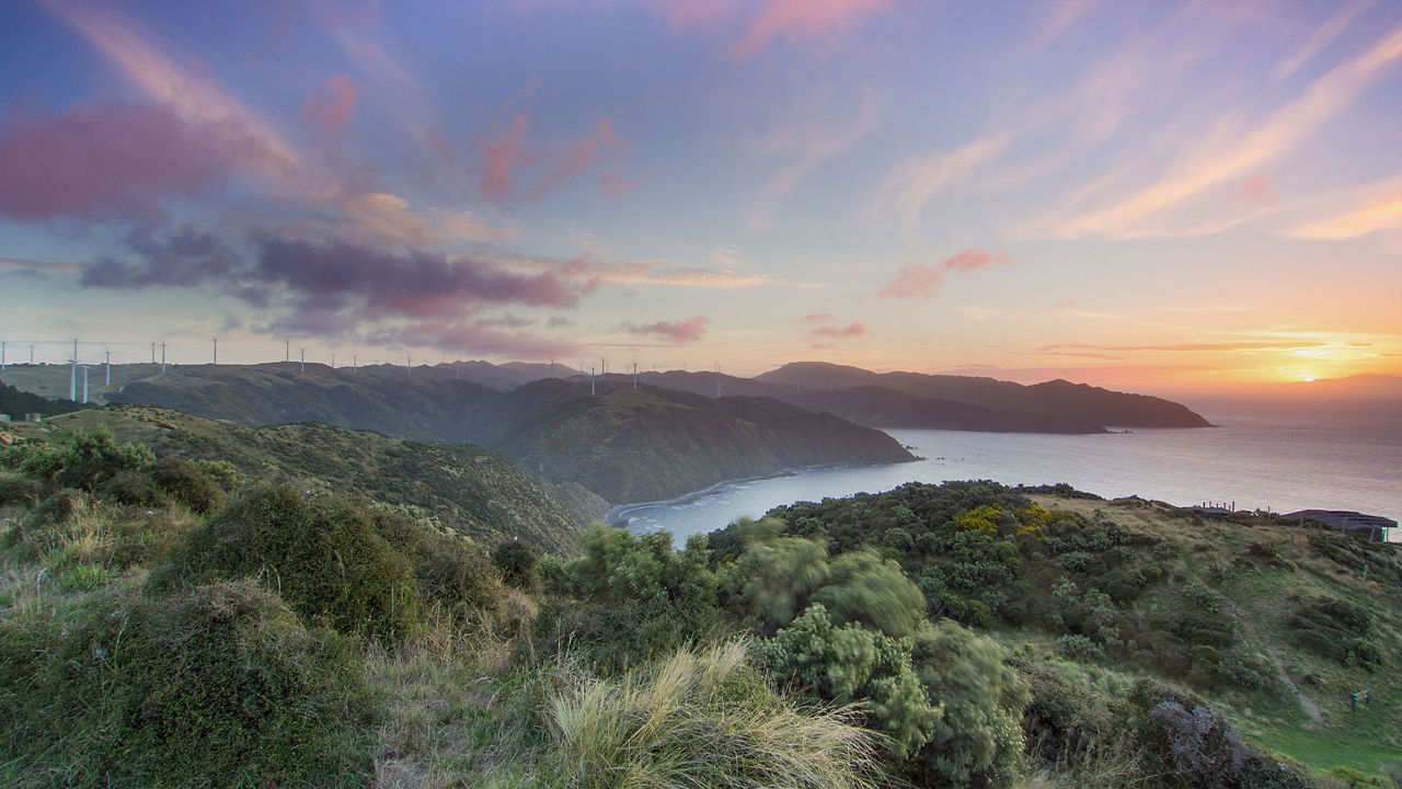 wellington new zealand top ports 2560x1440