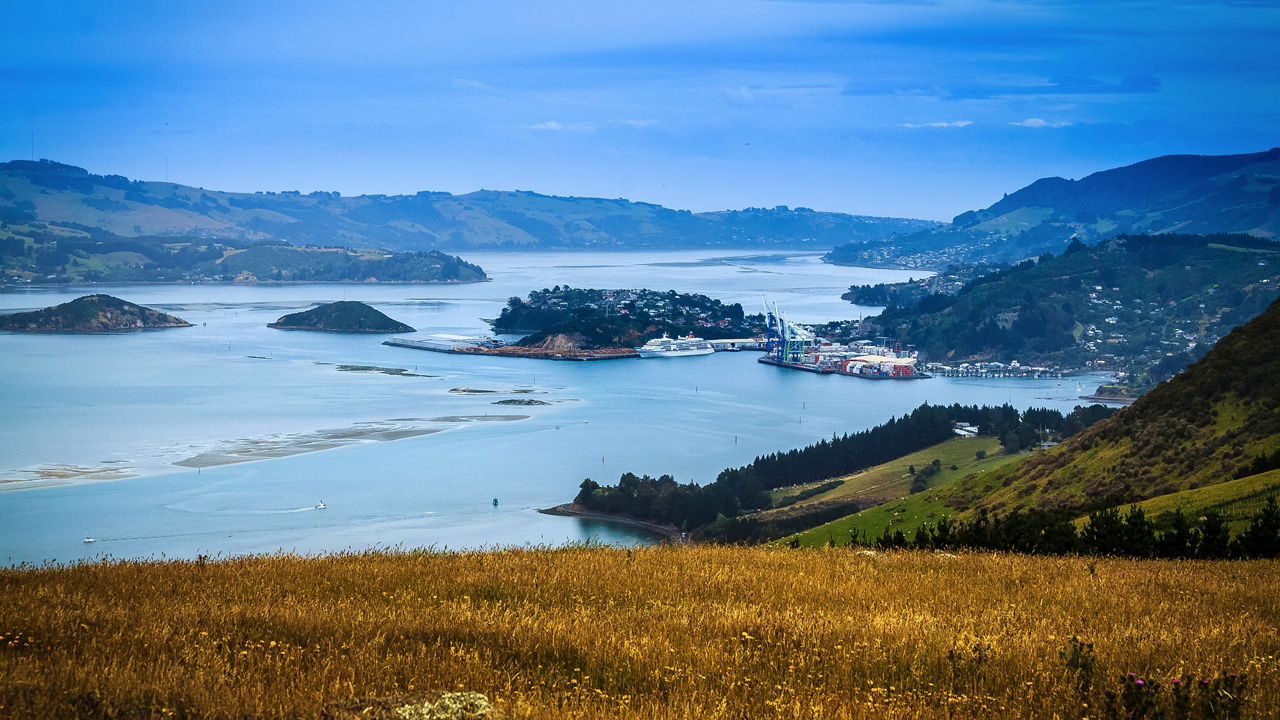 dunedin new zealand 2