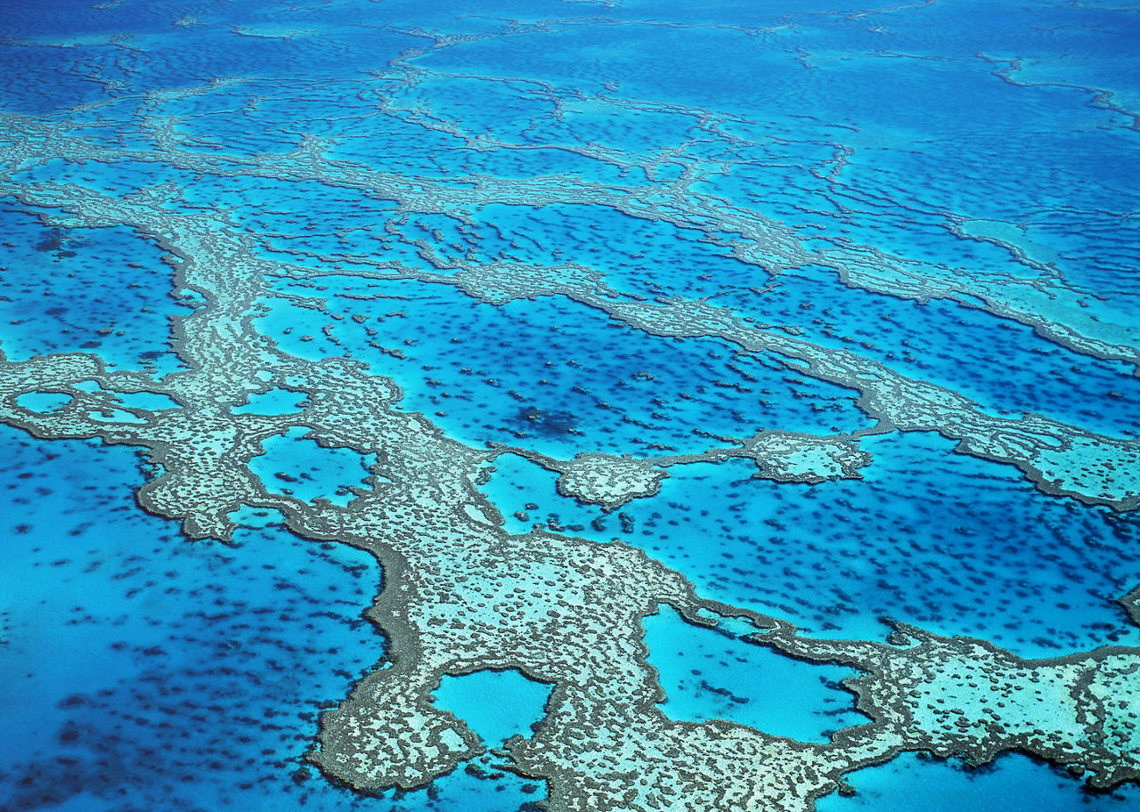 An aerial view of Hardy Reed on the Great Barrier Reef in Australia