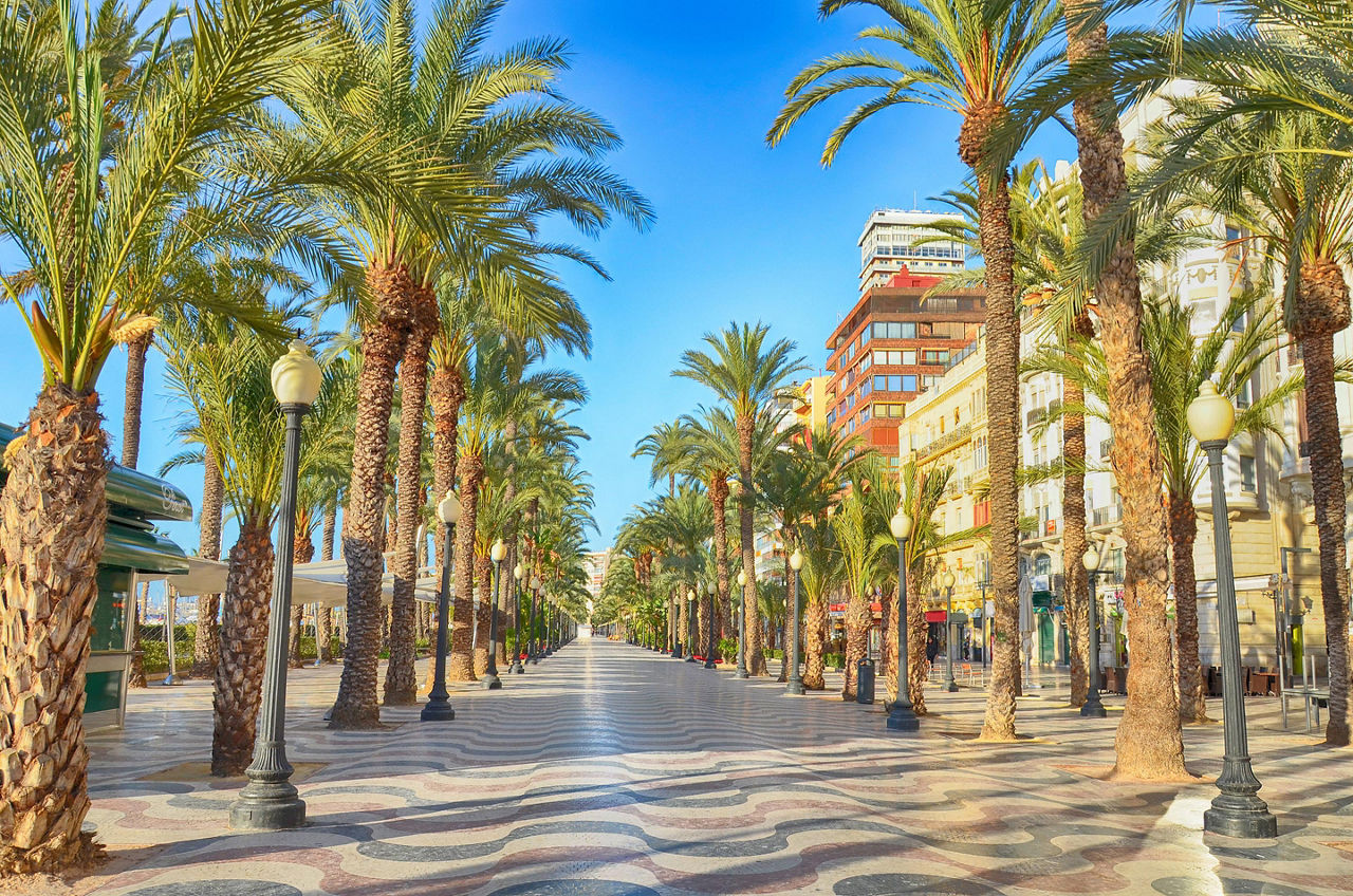 A street lined with palm trees in Alicante, Spain