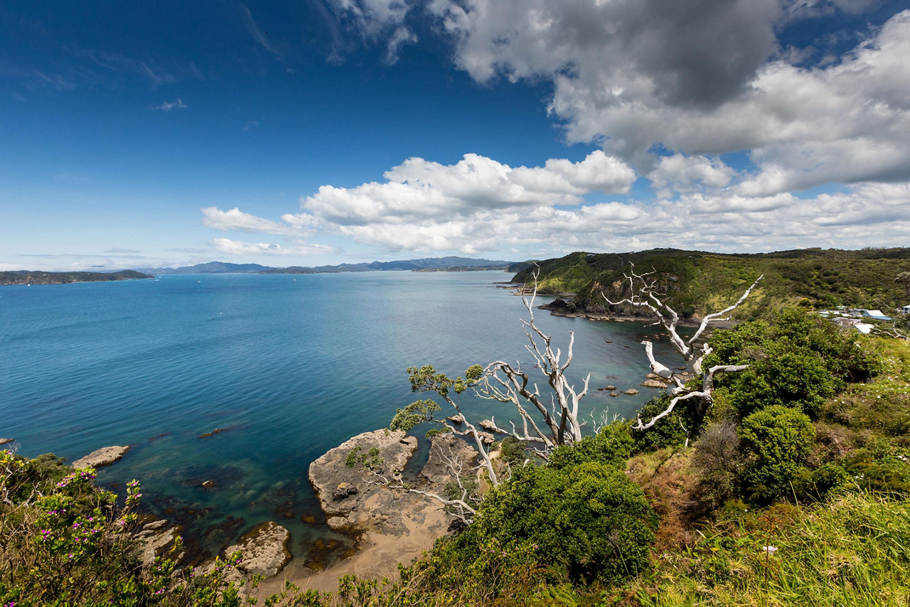 View of the ocean and landscape near Paihia Bay Islands in New Zealand