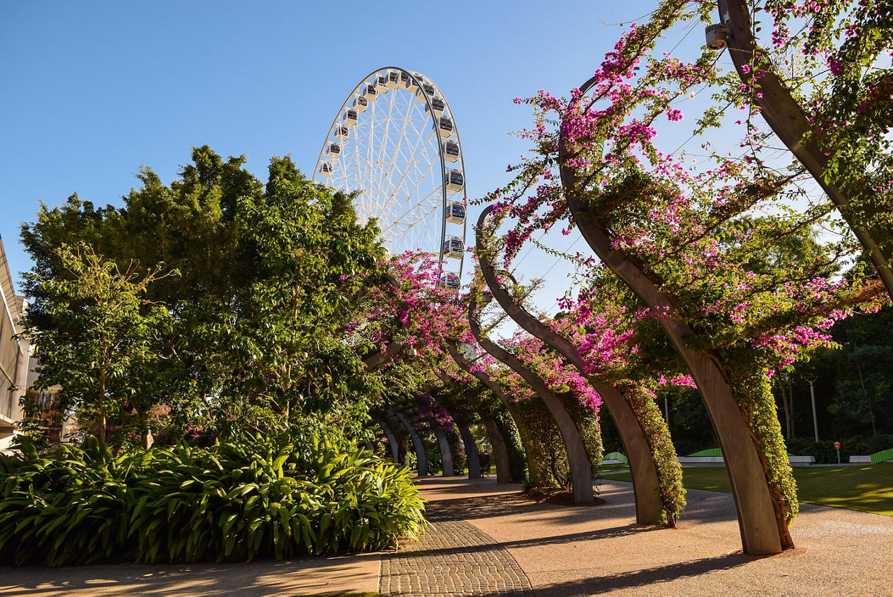 View of the South Bank ferris wheel in Brisbane, Australia