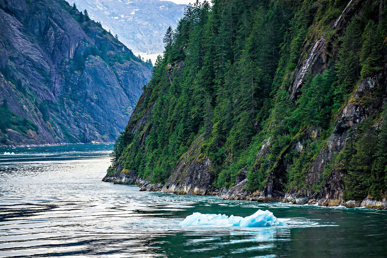 Wilderness Ocean Mountain, Endicott Arm & Glacier Dawes 