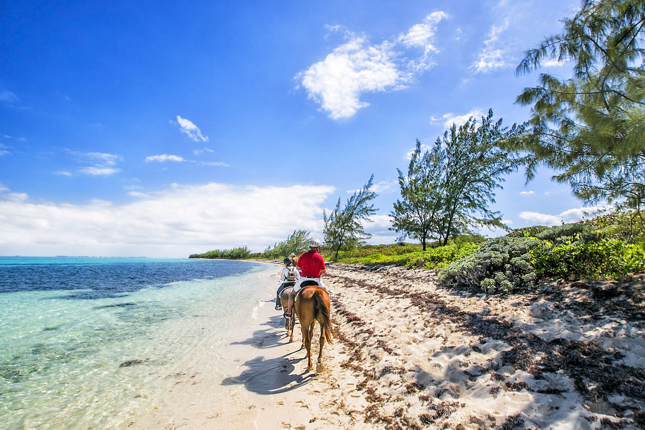 Couple on a Beach Horse Ride, George Town, Grand Cayman
