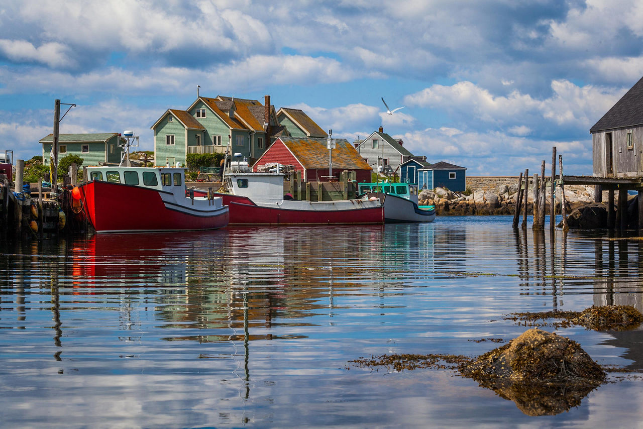 Boats Docked In A Harbor, Halifax, Nova Scotia