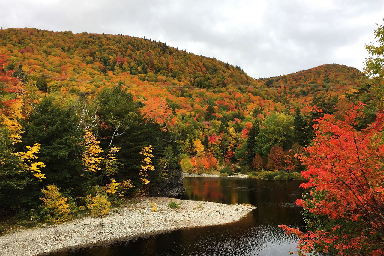 Cape Breton Island Fall, Halifax, Nova Scotia 