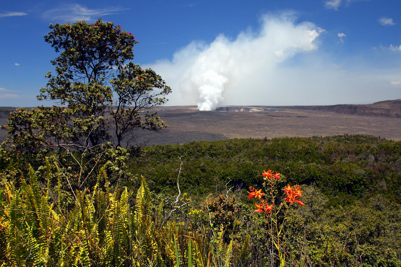 View of the landscape of Hawaii Volcanoes National Park