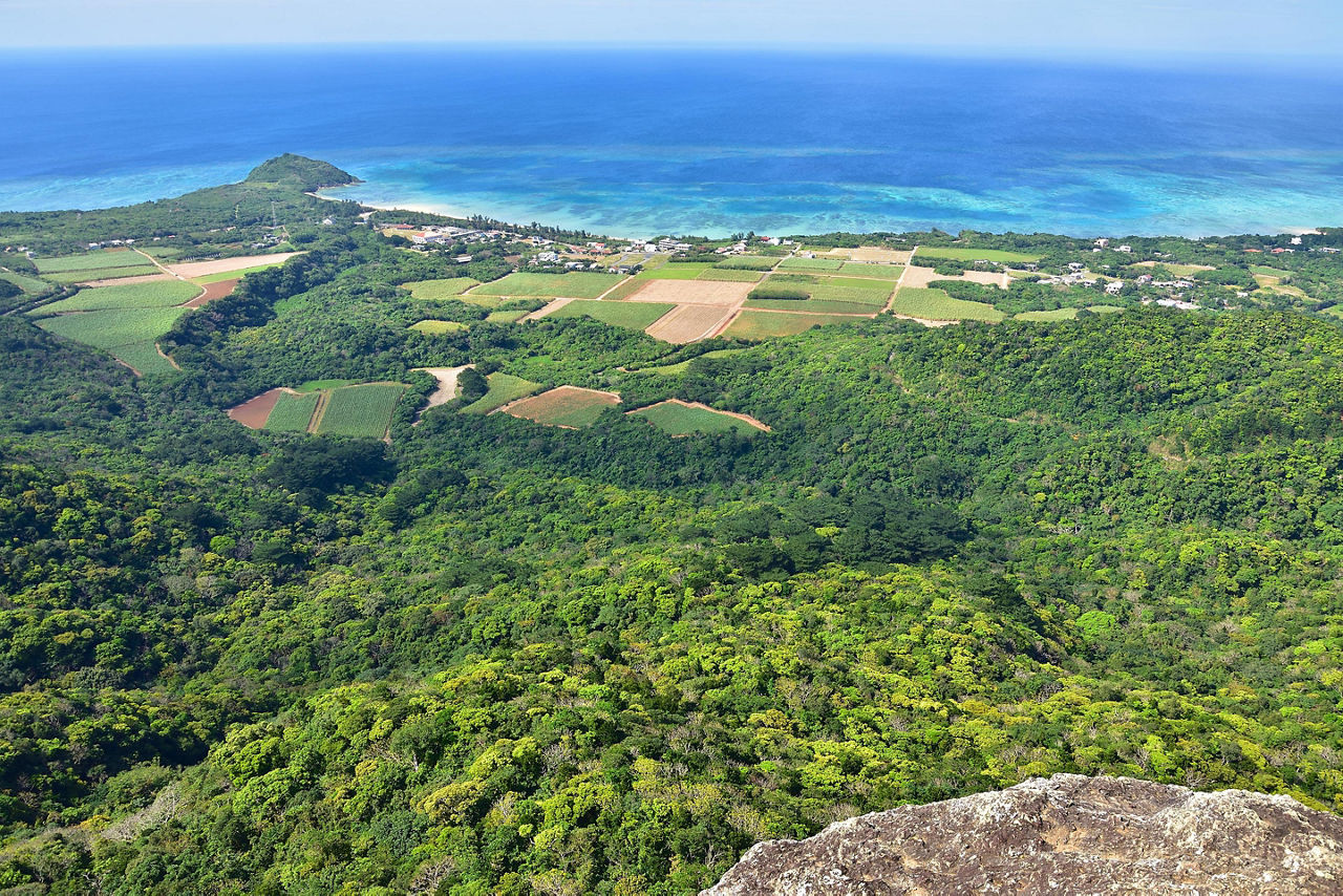 View from a mountaintop in Ishigaki, Japan