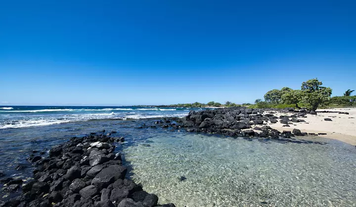 Hawaii Cruise