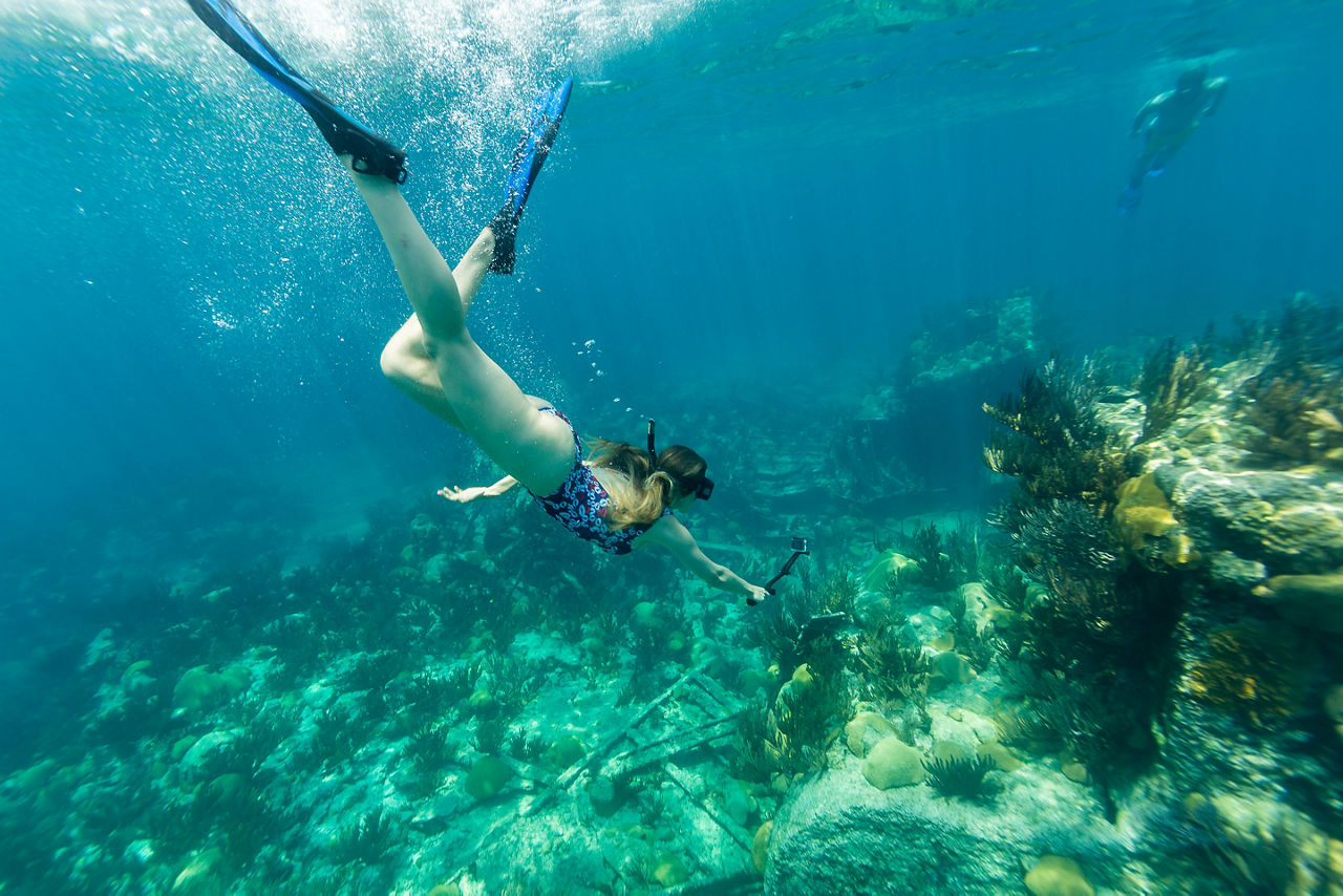Woman Snorkeling by a Coral, Bermuda