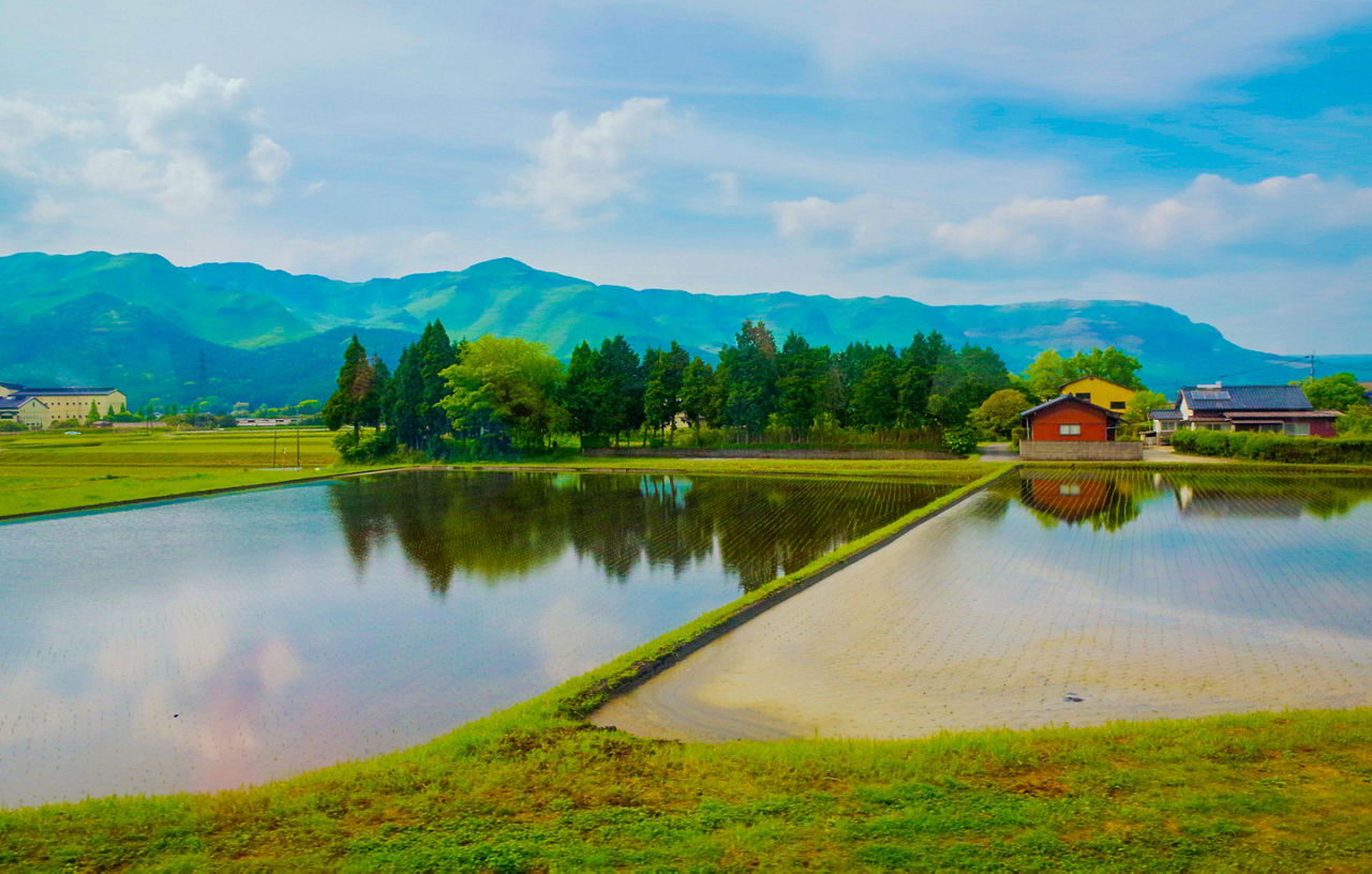 Empty rice farm with a small red house in the right corner in Kumamoto, Japan