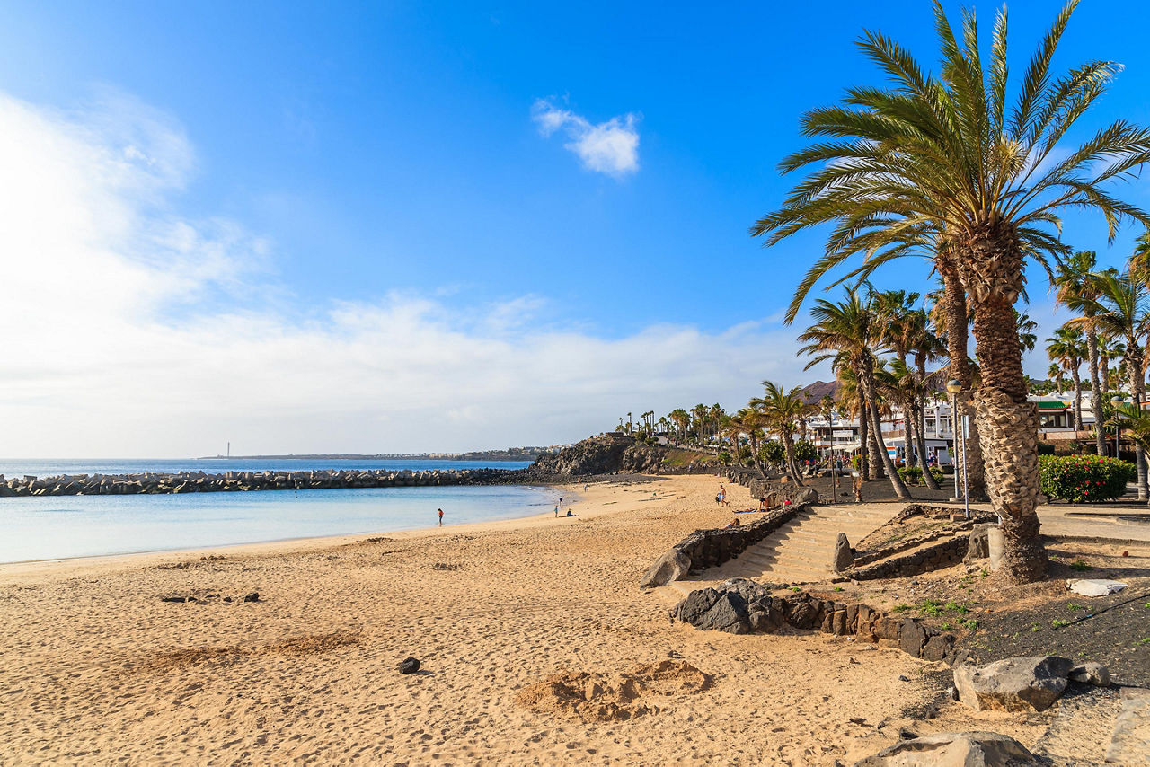 View of Flamiingo Beach lined wth palm trees in Lanzarote, Canary Islands