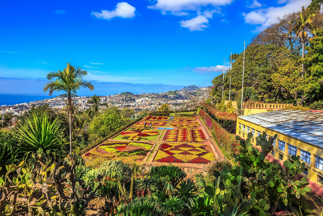 A famous botanical garden in Madeira (Funchal), Portugal