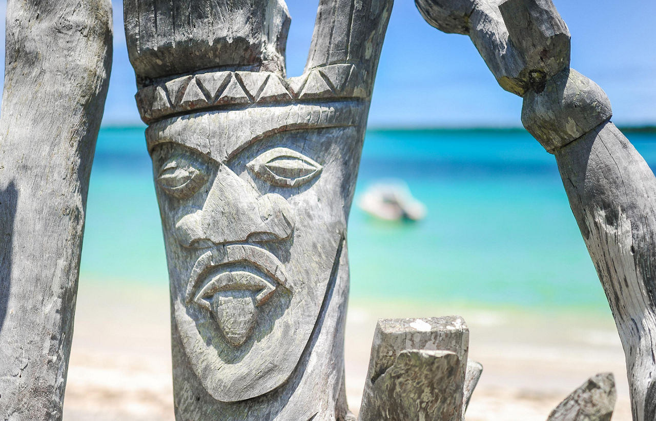 A face carved in a tree trunk on the beach of Mystery Island, Vanuatu
